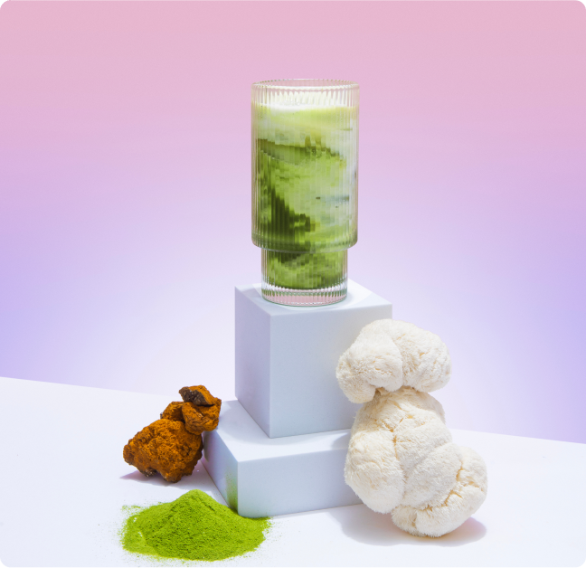 Mushroom Matcha+ starter kit with frothy green drink, powdered matcha, white mushrooms and chaga on display pedestals