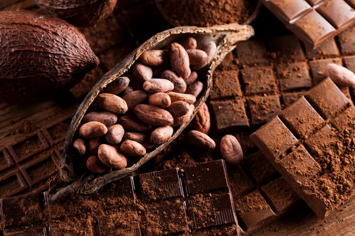 Close-up of open cacao pod with raw cacao beans spilling over dark chocolate squares dusted with cocoa powder on a wooden surface