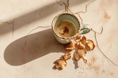 Mug of mushroom coffee beside dried mushrooms on a cracked beige surface with sunlight casting a long shadow