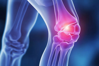 Knee joint illustration showing inflamed cartilage and bones highlighted in pink and purple on a blue background
