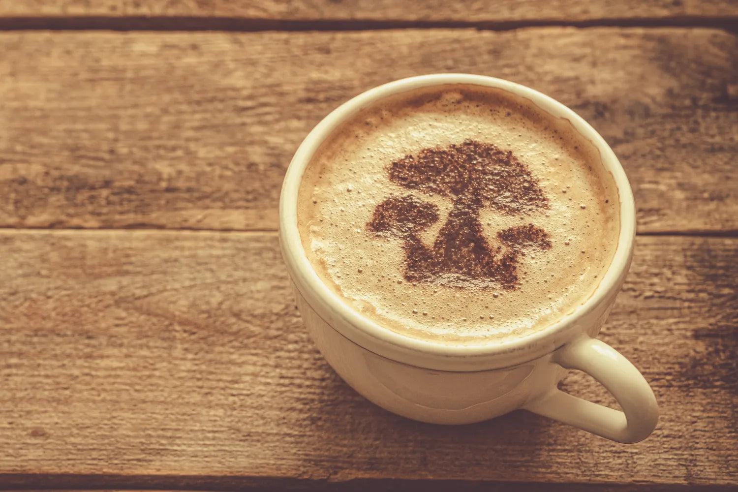 Mushroom Coffee Benefits: 4 Science-Backed Reasons to Switch