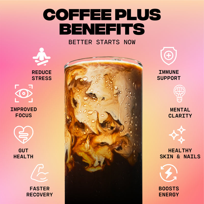 30 porciones de café de hongos + kit de inicio GRATIS