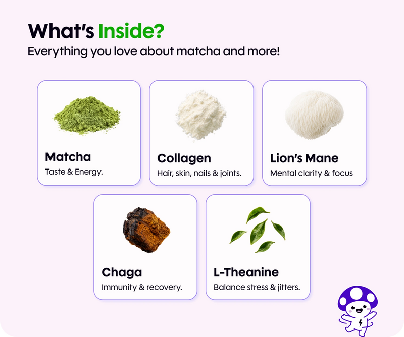 Infographic showing Mushroom Coffee ingredients: matcha, collagen, Lion’s Mane, chaga, and L-theanine