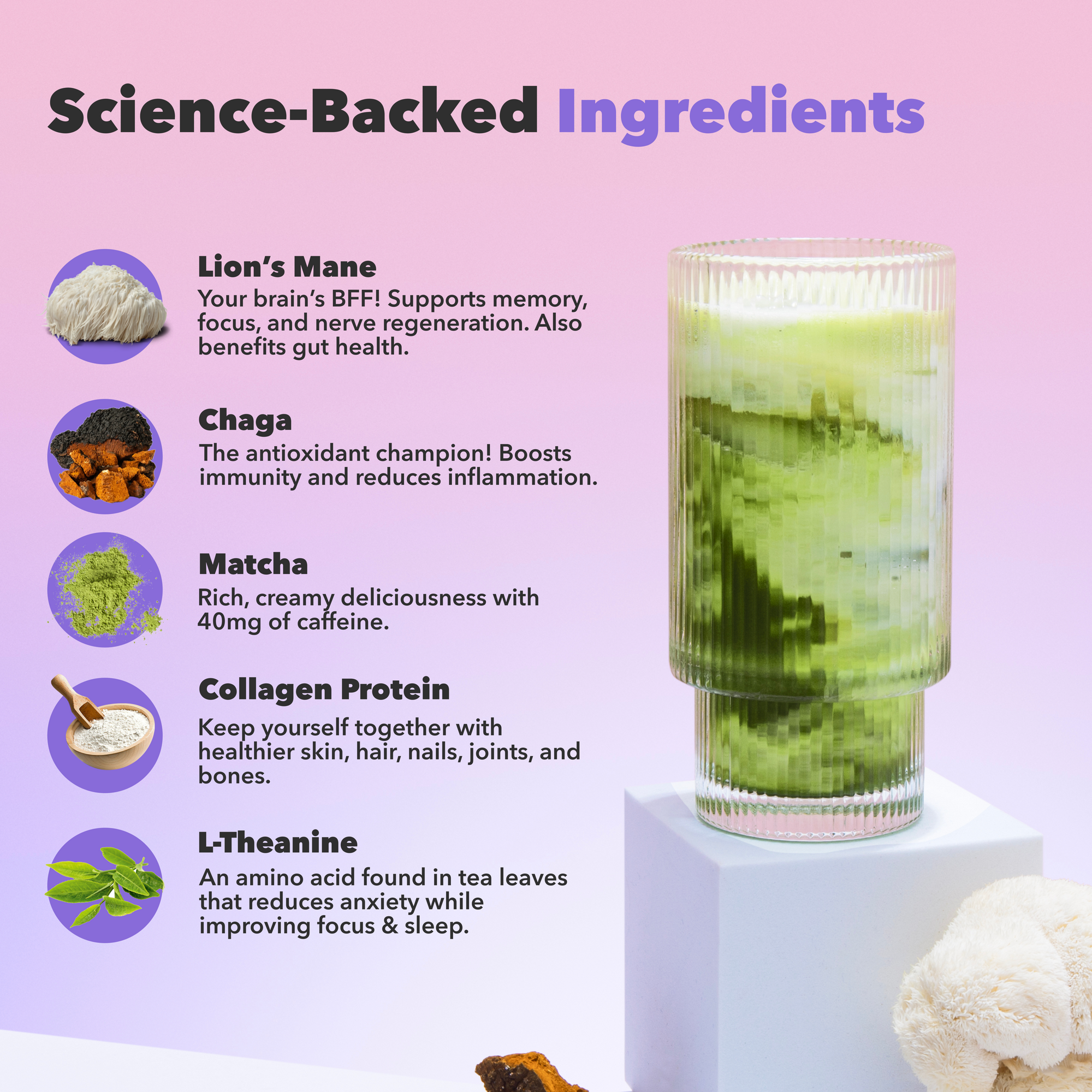 Mushroom Matcha ingredients shown with glass of green drink featuring Lions Mane, Chaga, Matcha, Collagen and L-Theanine benefits